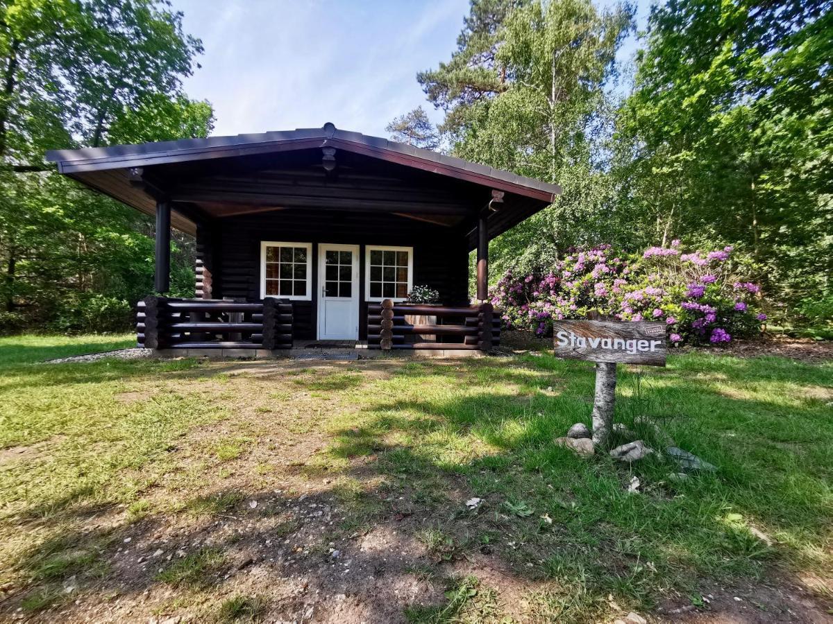 Scandinavian Holten