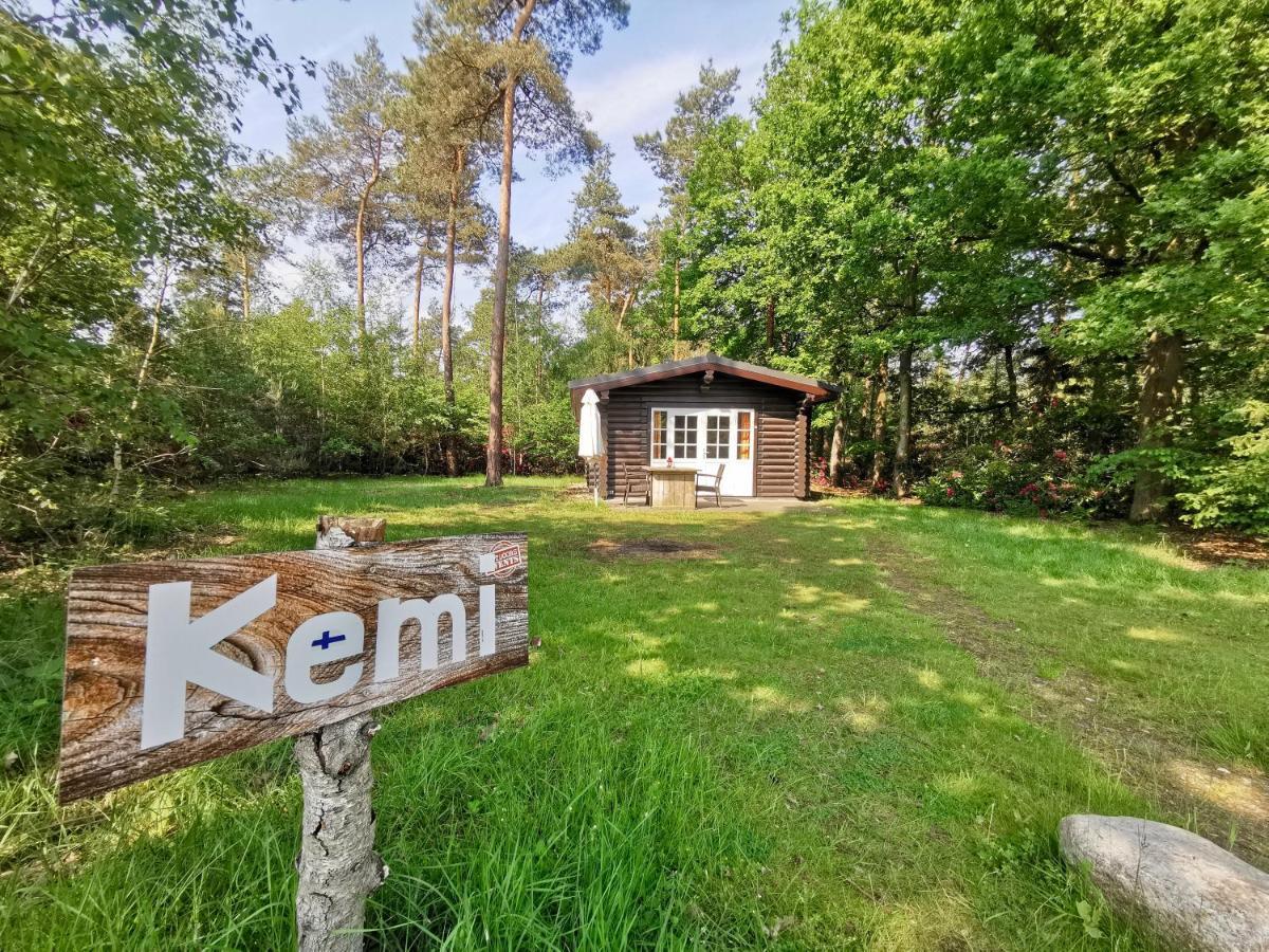 Chalet Scandinavian