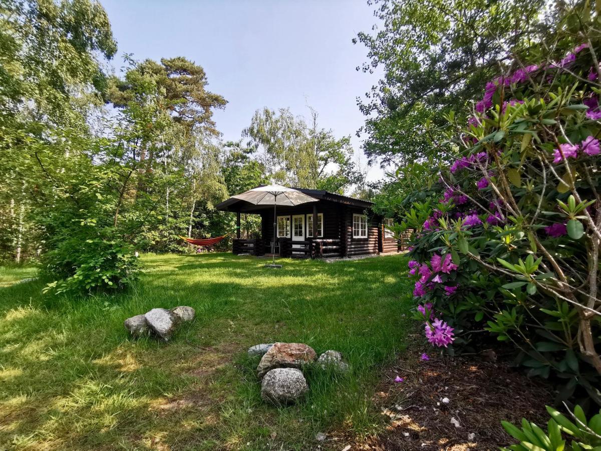 Chalet Scandinavian *
